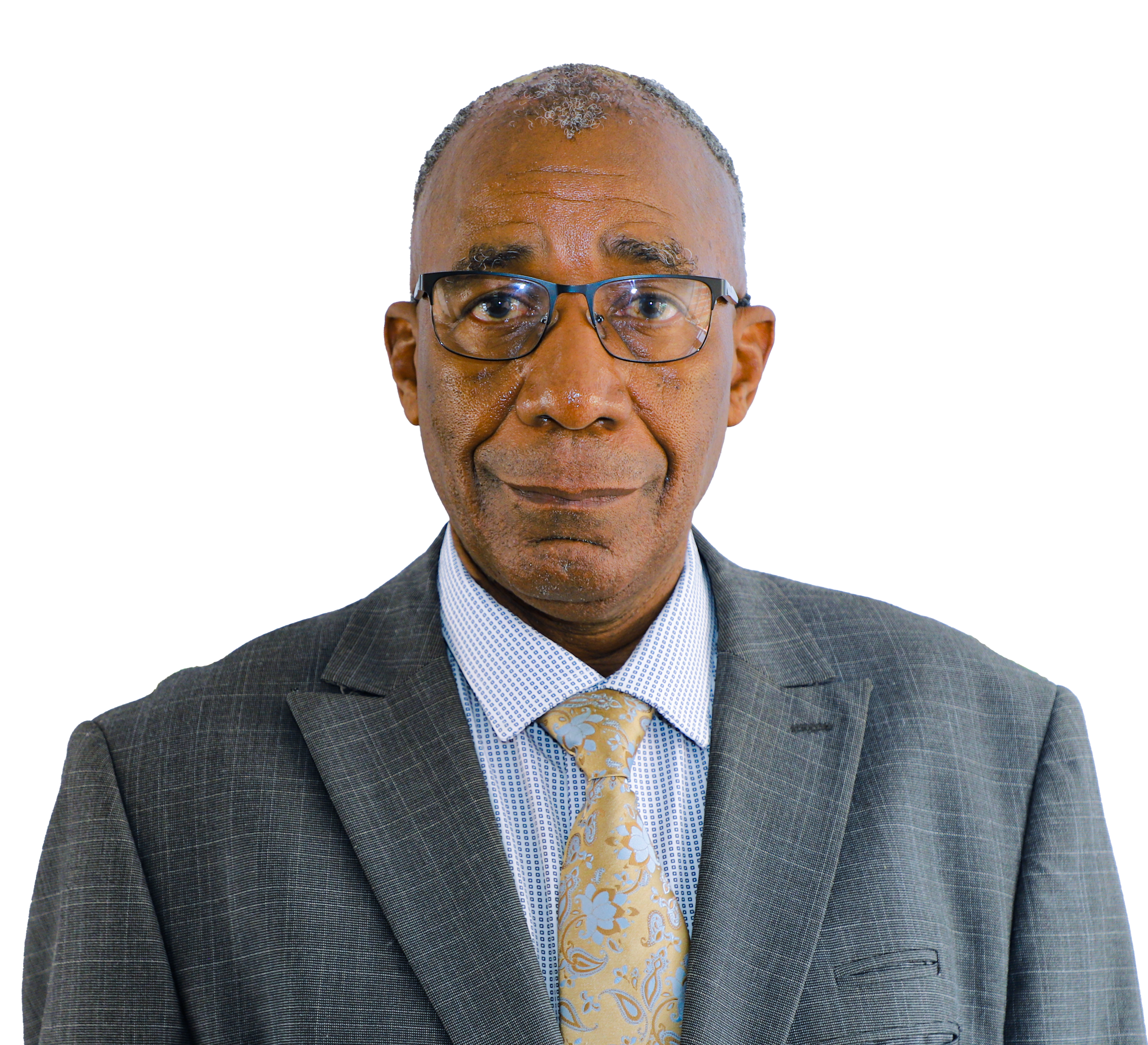 Justice N Ndou (Retired)